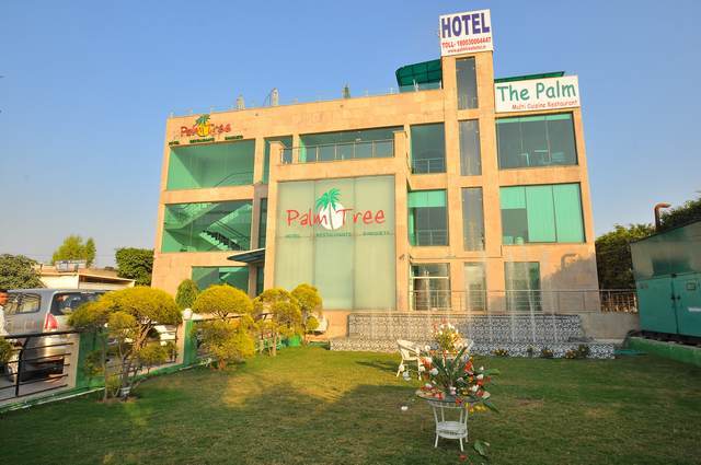 Hotel Palm Tree